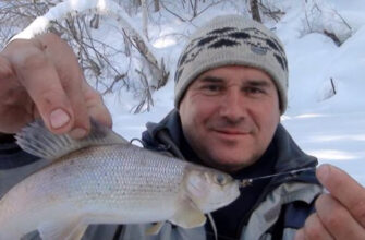 Хариус на мормышку