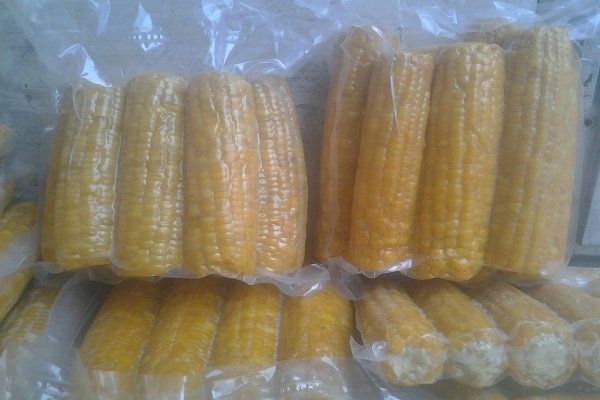 Хранение кукурузы в морозильной камере